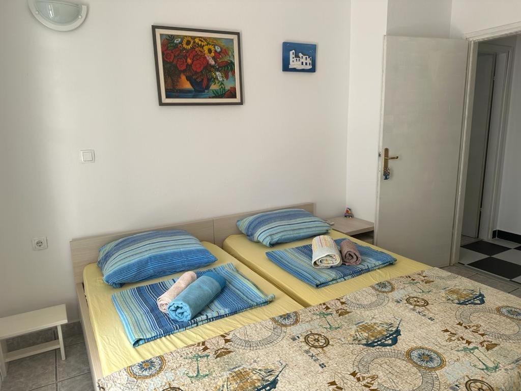 Marina Apartmani Tisno Murter Bagian luar foto